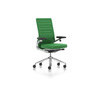 Vitra AC4 mit 3DAL UG poliert Plano classic green:forest